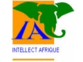 Détails : intellect-afrique